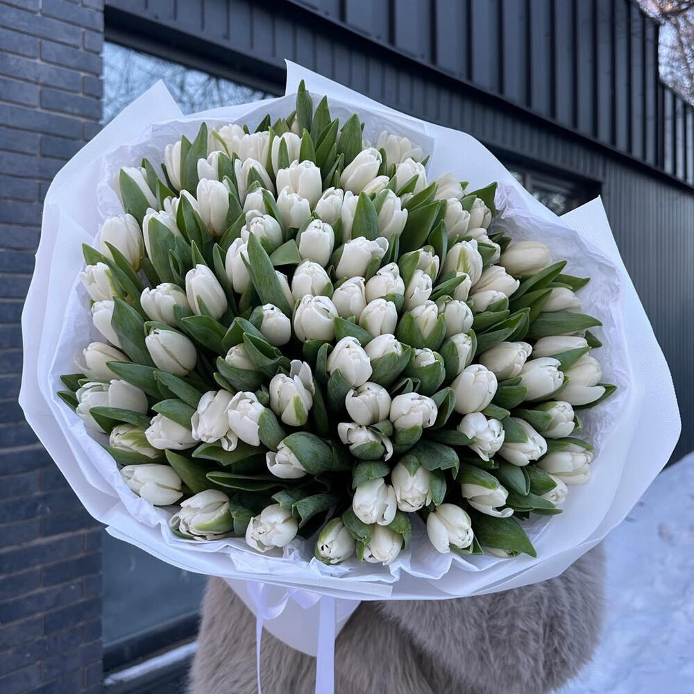 101 белый тюльпан