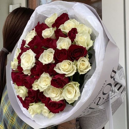 51 белая и красная роза