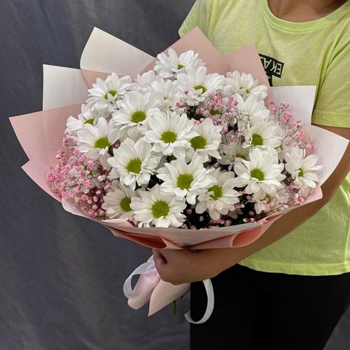 Букет ромашек с гипсофилой (б1786)