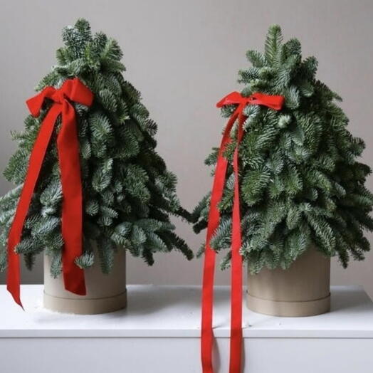 Две интерьерные елочки 