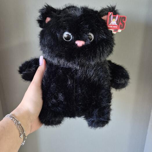 Котик черный