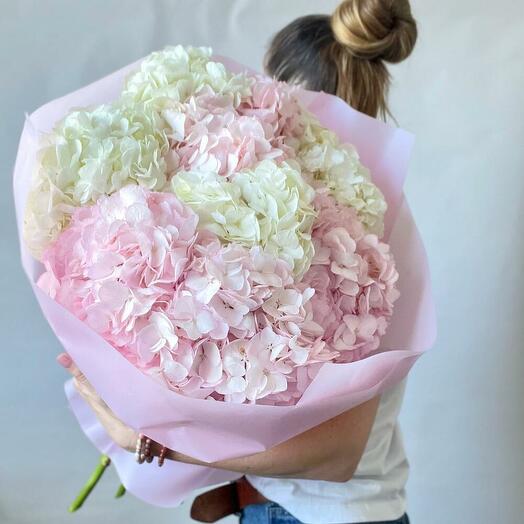 Облако гортензий