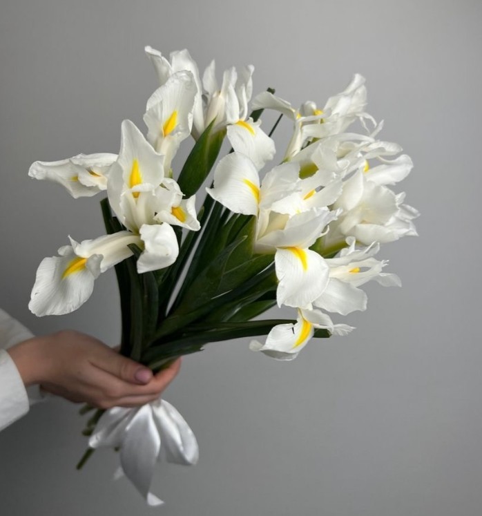 Ирисы белые