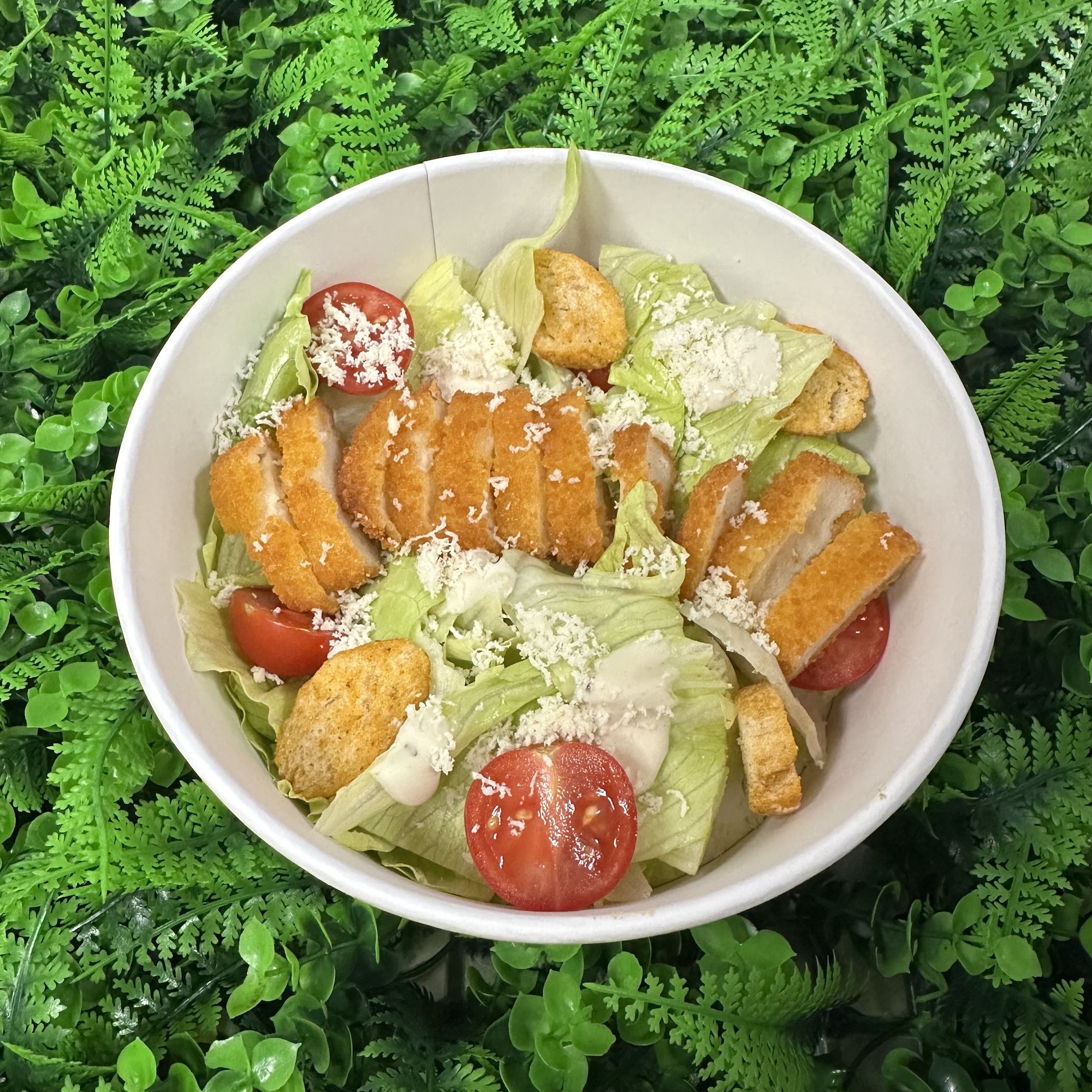 Цезарь с цыплёнком