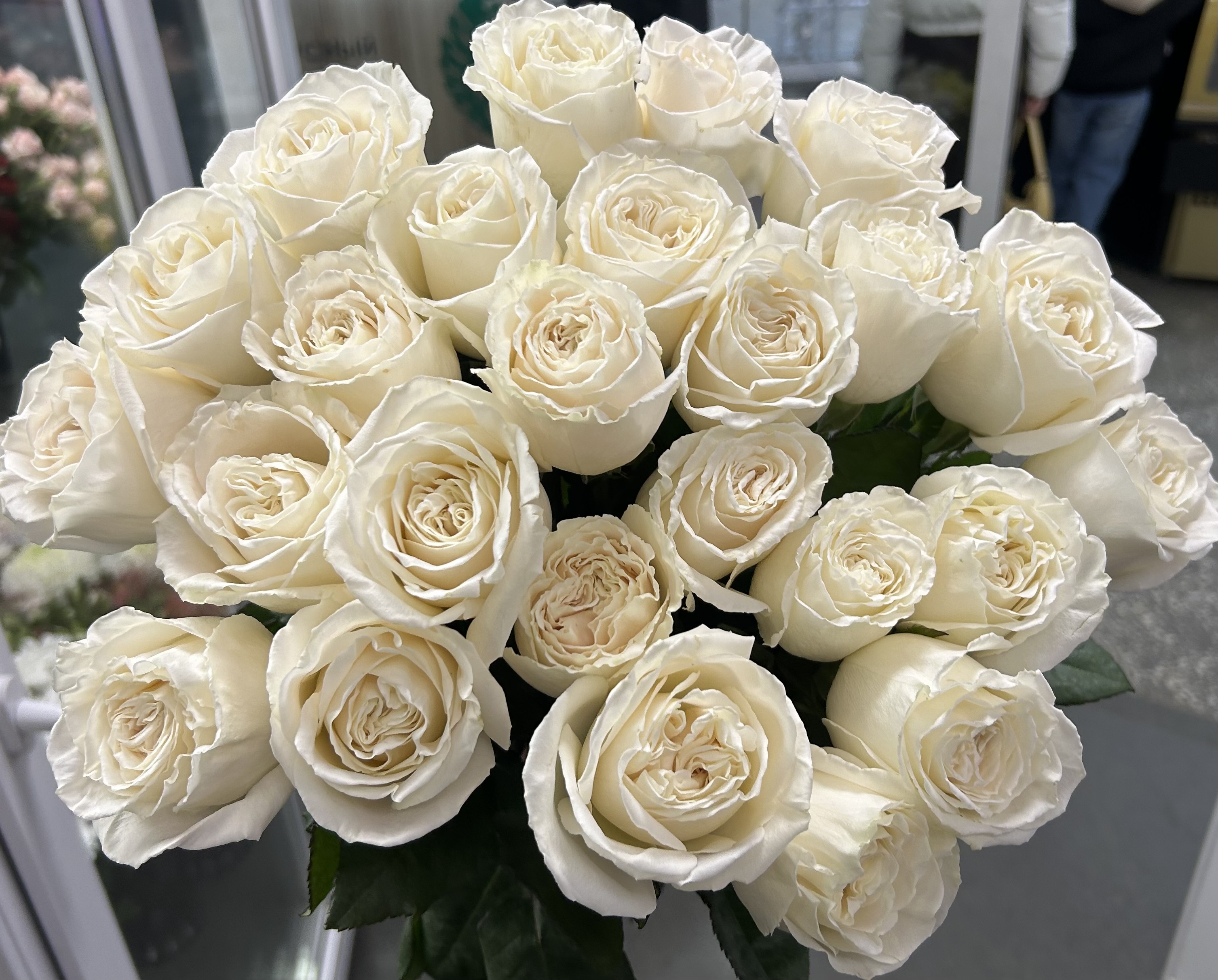 7 эквадорских роз (белые)