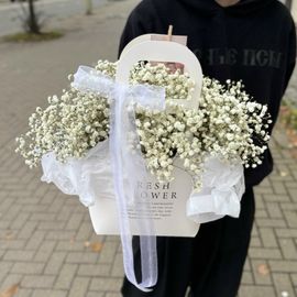 Белая сумочка гипсофилы