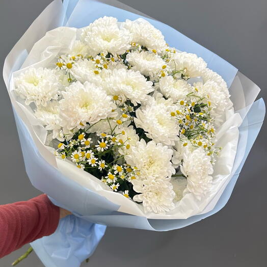Пышная хризантема с ромашкой