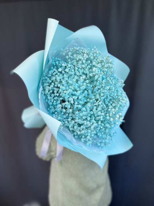 Бирюзовая гипсофила