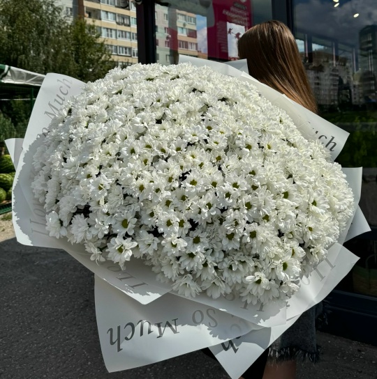 Букет из 101 хризантемы