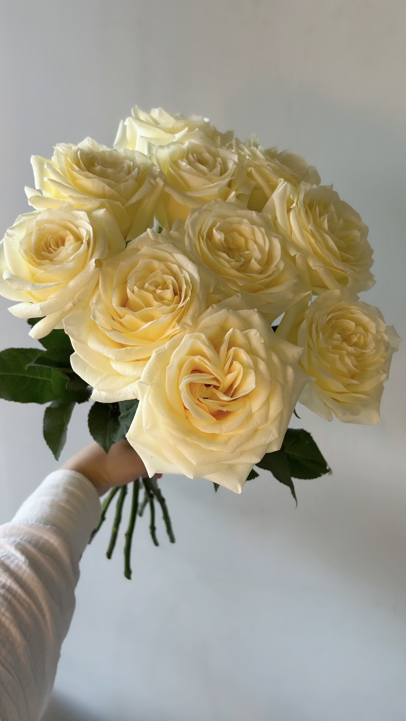 Букет из пионовидных роз канделайт