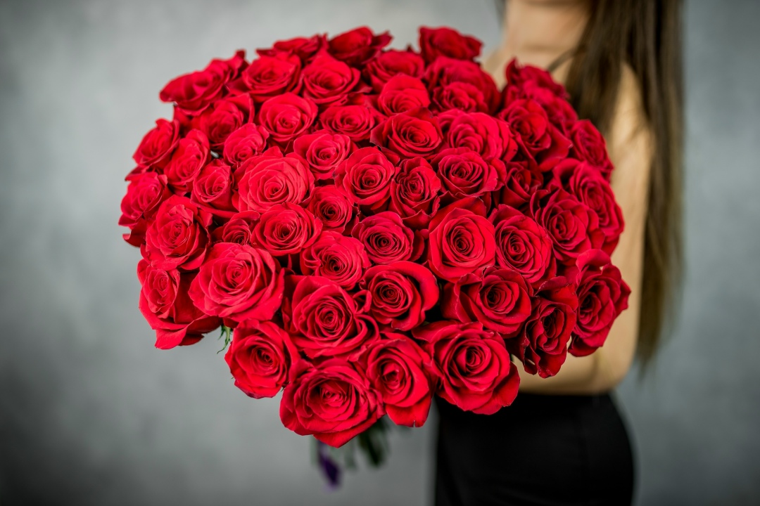 51 красная роза