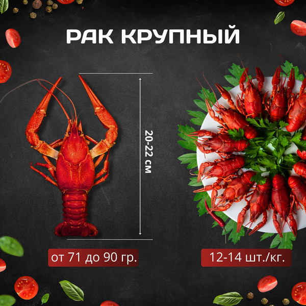 Рак L — крупный
