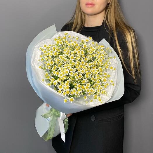 Монобукет нежных ромашек (танацетум)