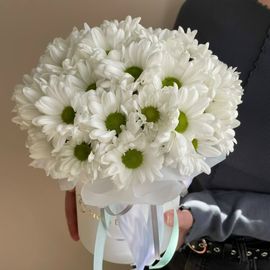 Композиция из ромашек