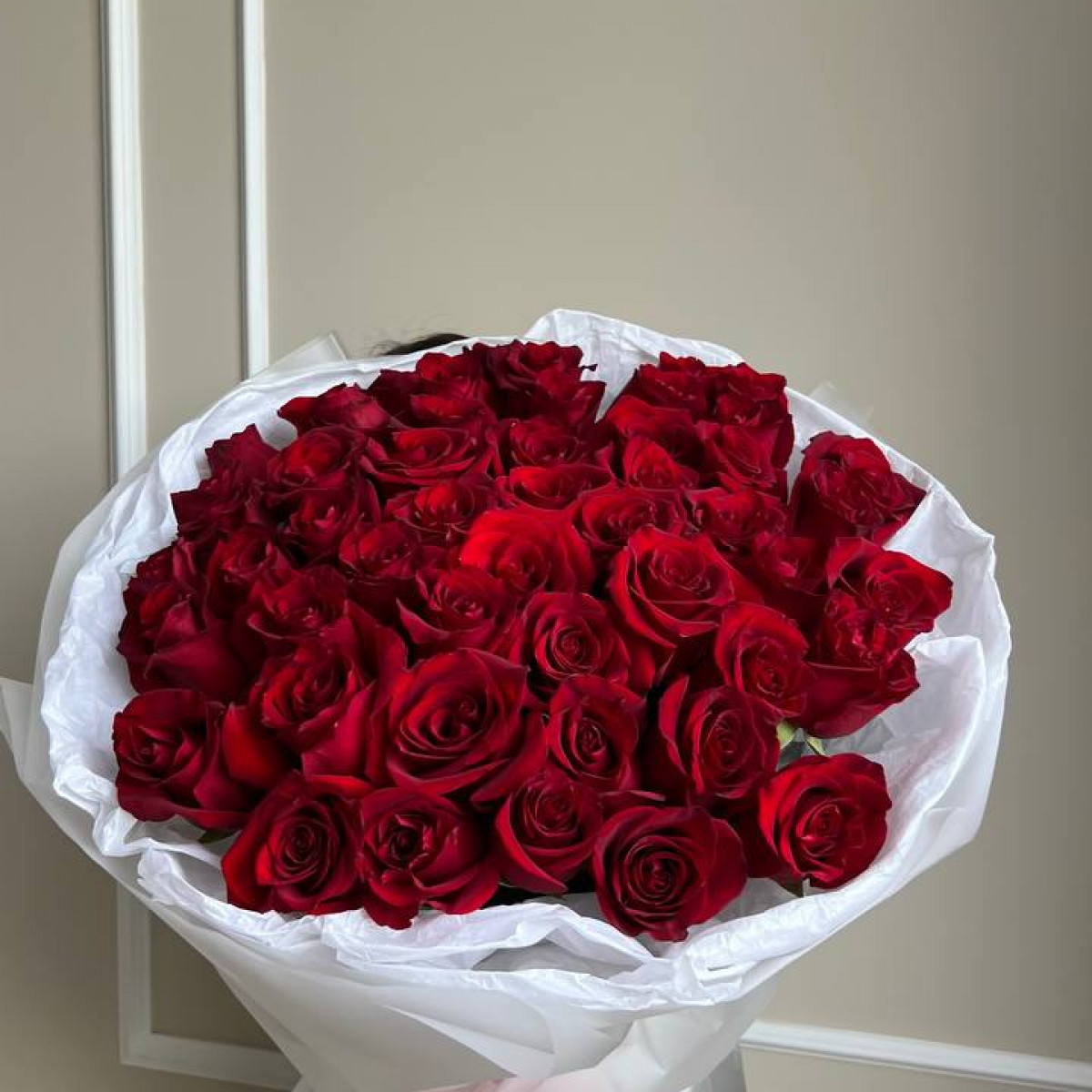 Красные розы Эквадор 25 шт