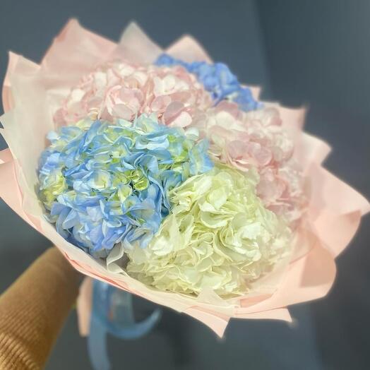 5 гортензий