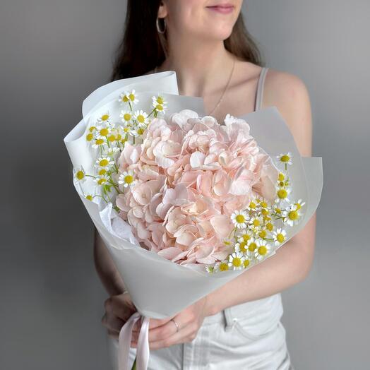 Нежный букет комплимент розовая гортензия