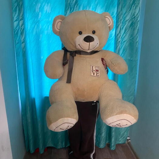 Большой Мишка