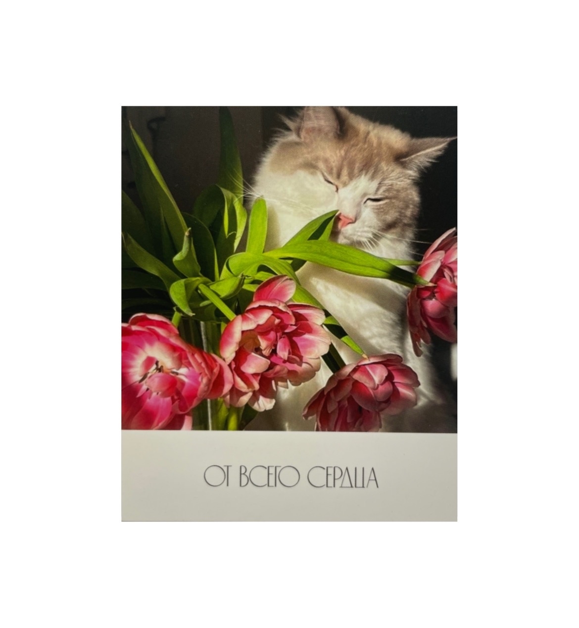 Открытка подарочная "От всего сердца"