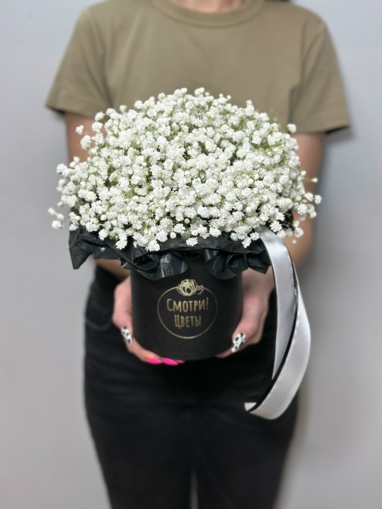 Гипсофила в черной коробке