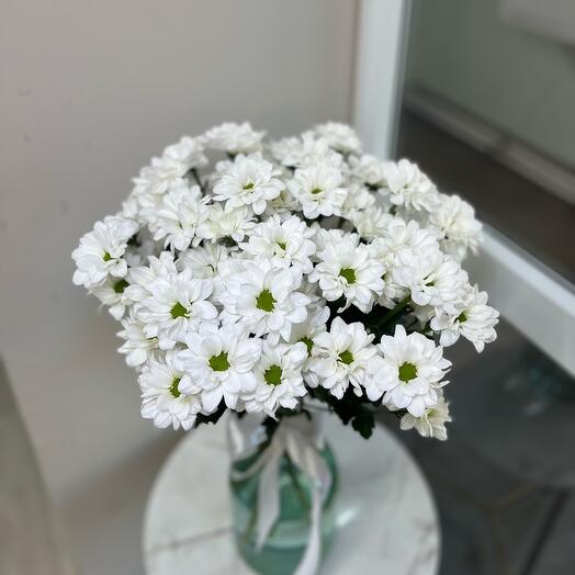 9 белых ромашковых кустовых хризантем под ленту