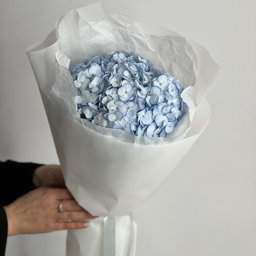Моно букет из голубой гортензии