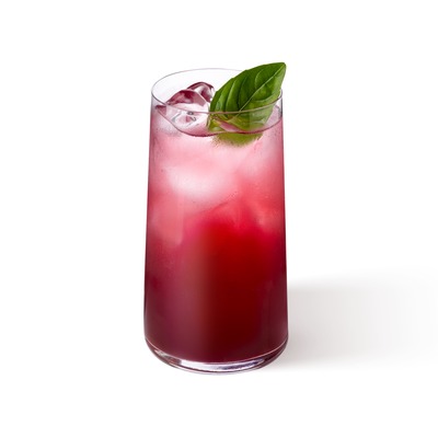 Лимонад Смородина-бузина L