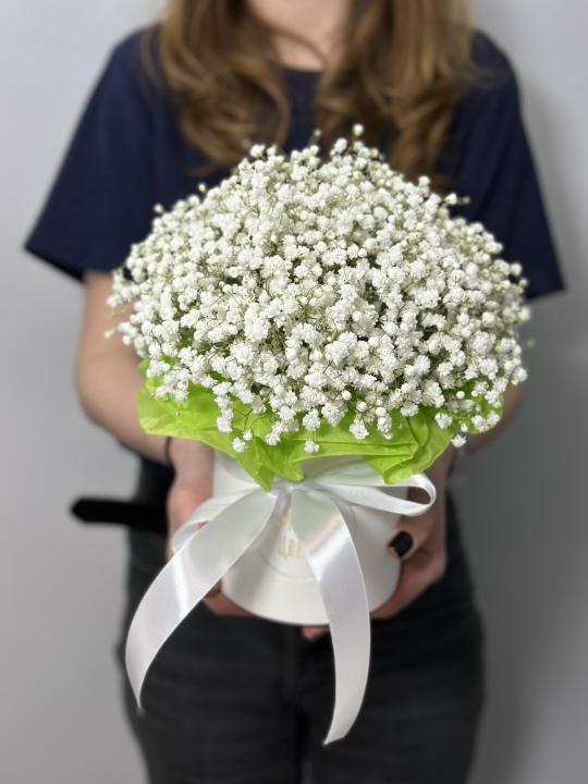 Коробка с гипсофилой