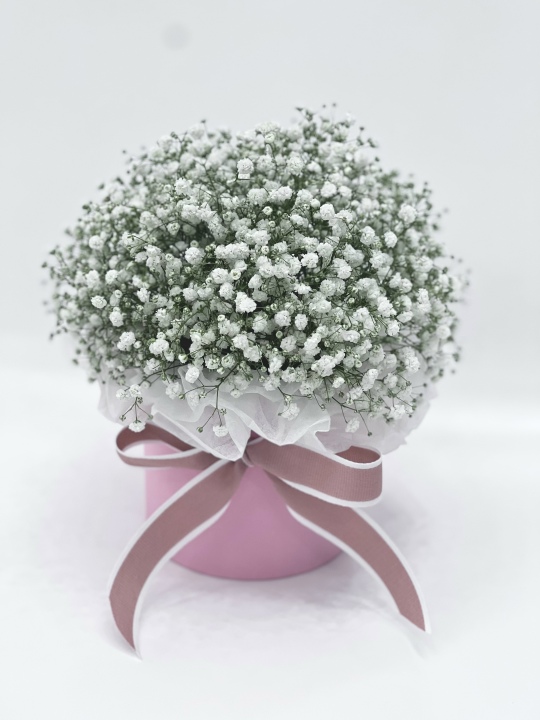 Коробочка с белой гипсофилой