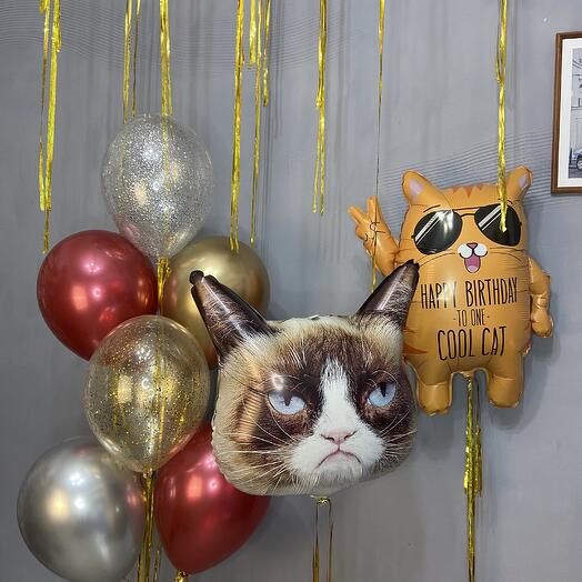 Котики