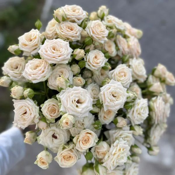 Монобукет из 9 кустовых сортовых роз на ленте!