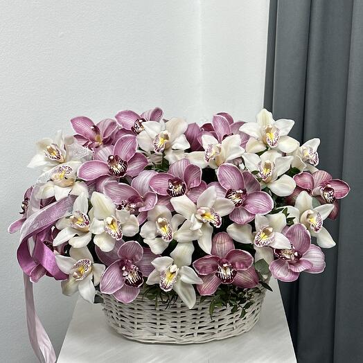 Орхидеи в корзине L