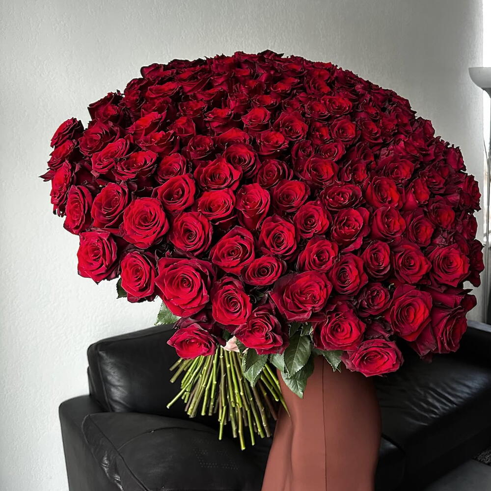 101 свежая красная Роза Голландия 70 см большой букет