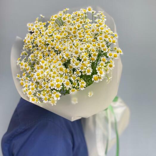 Ромашки для няшки