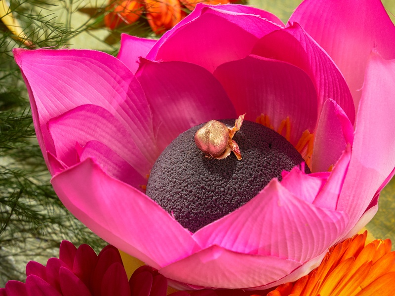 Чёрная полусфера