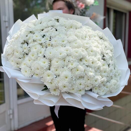 Моно букет из 51 хризантемы кустовой