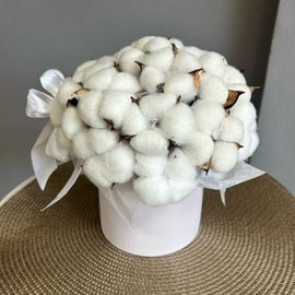 Хлопок белый в коробке