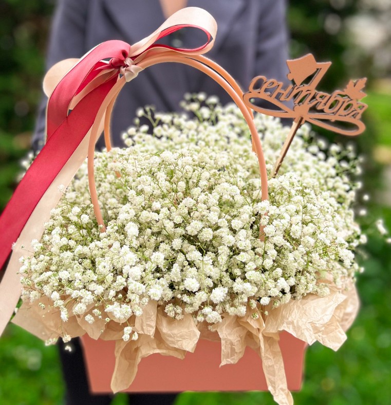 Композиция «Гипса»