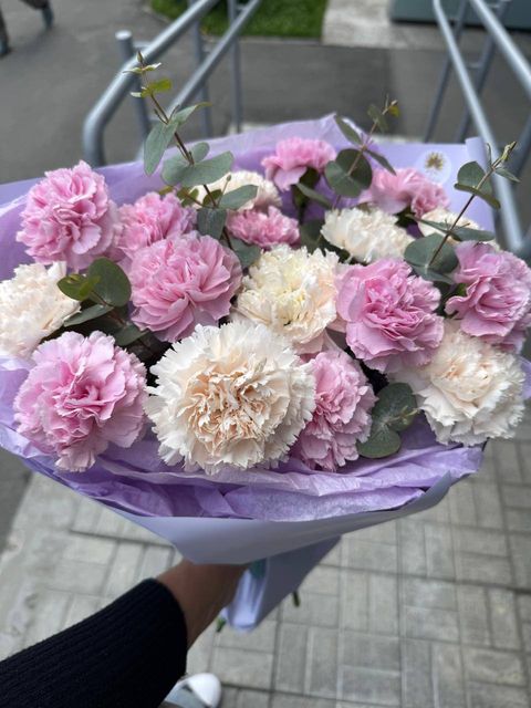 Дуэт из диантусо