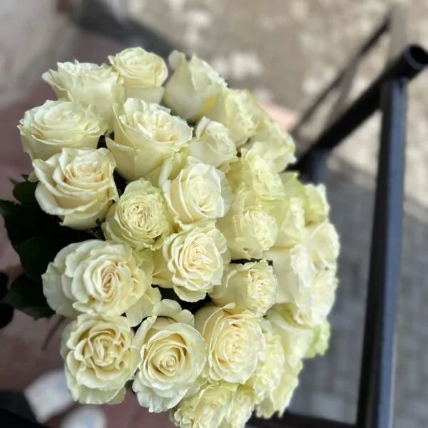 35 роз 50 см на ленте ,Эквадор крупный бутон