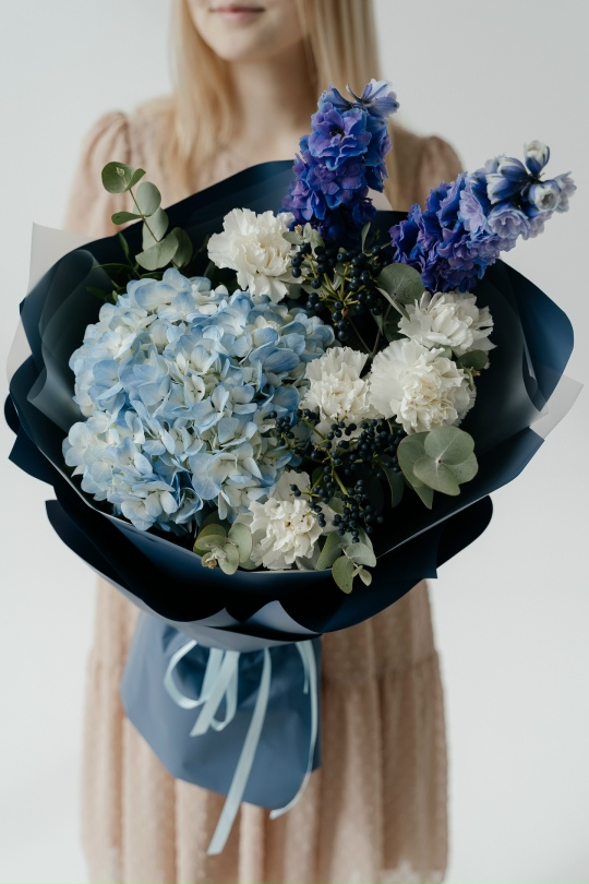 Волшебные сны