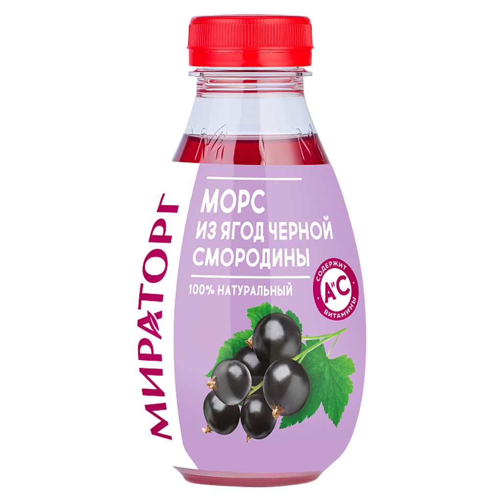 Морс черная смородина