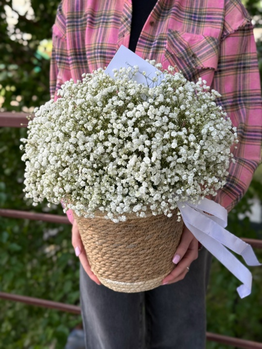 Вайб в корзине