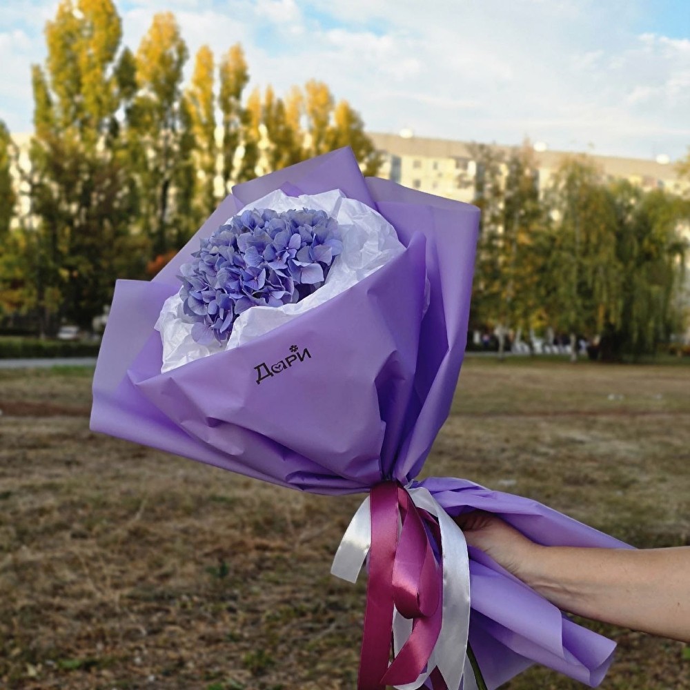 №120 Гортензия в авторской упаковке
