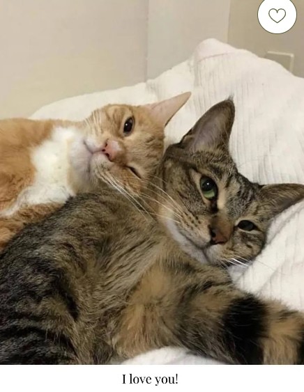 Открытка "I Love You"