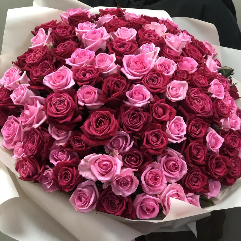 Роза 101шт 60см