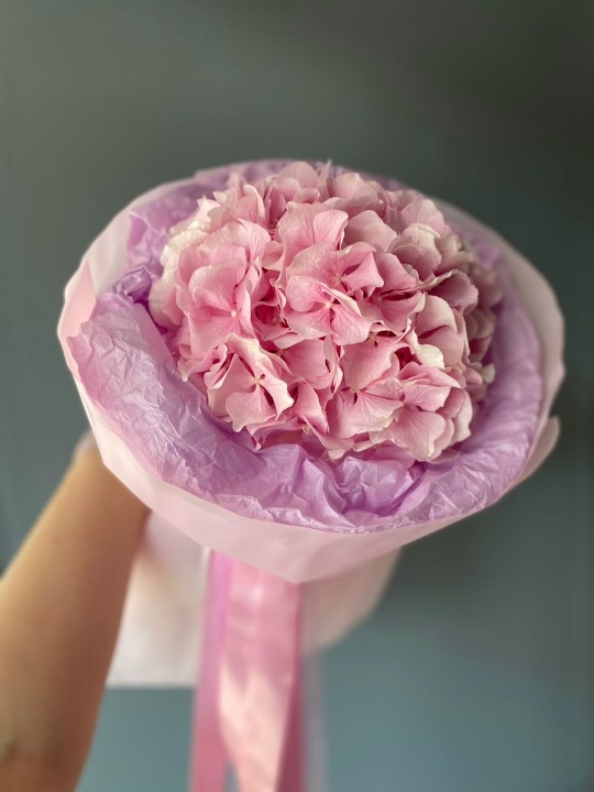 Букетик комплимент из розовой гортензии