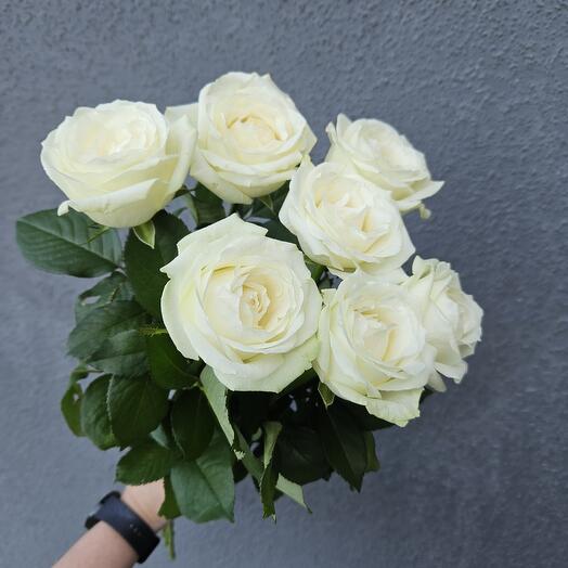 Букет из 7 белых роз