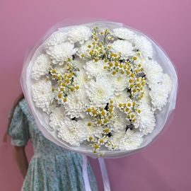 Алтай с ромашками