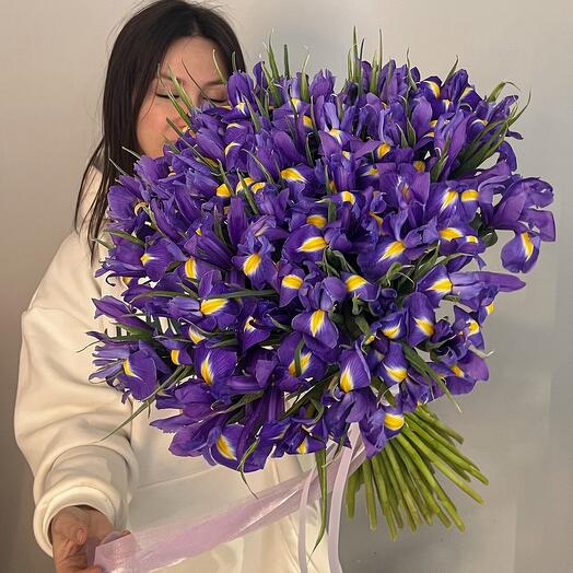 101 ирис большой букет